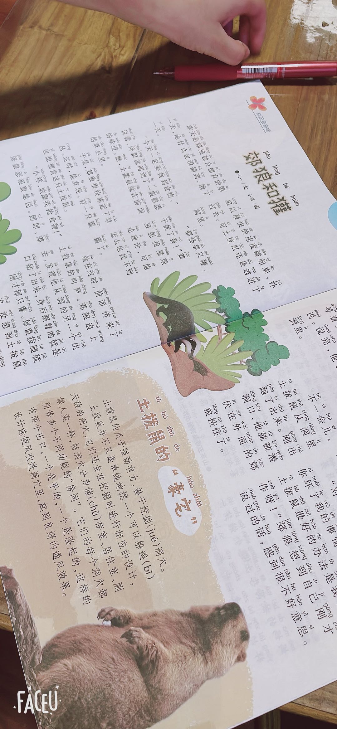 图像