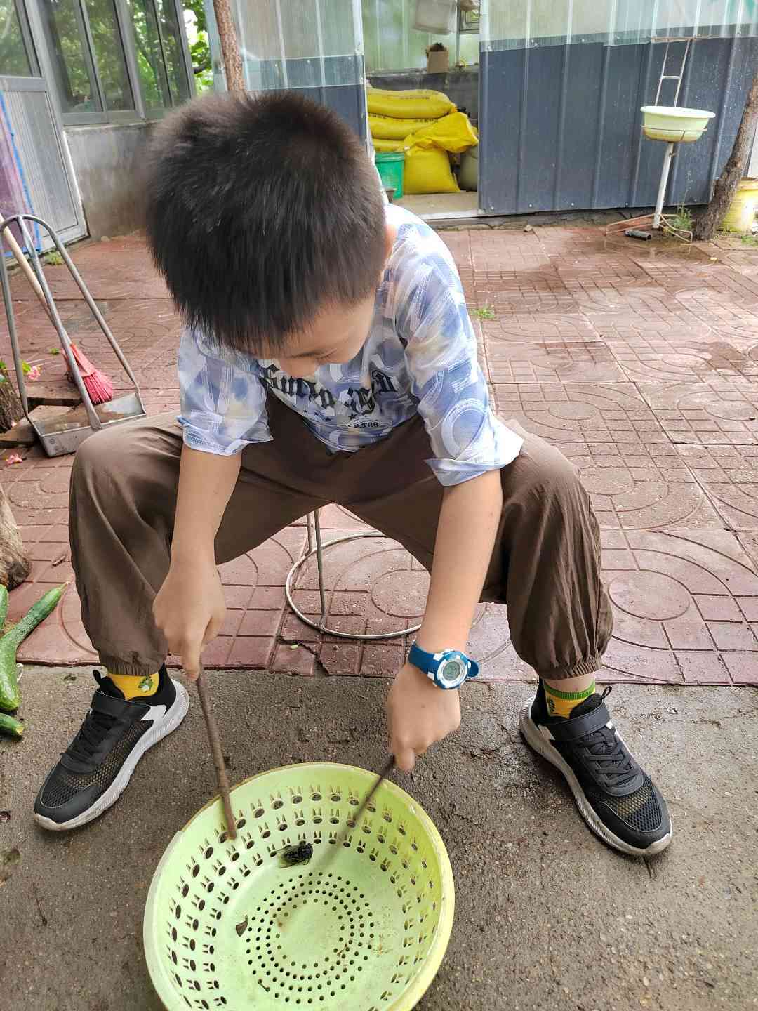 图像
