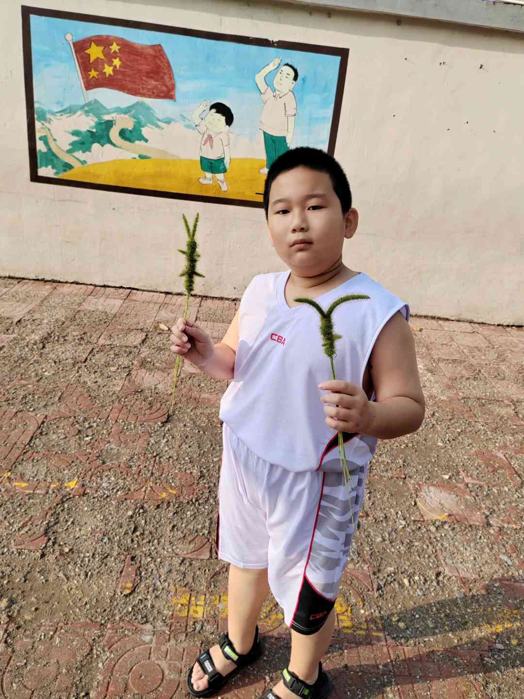 图像
