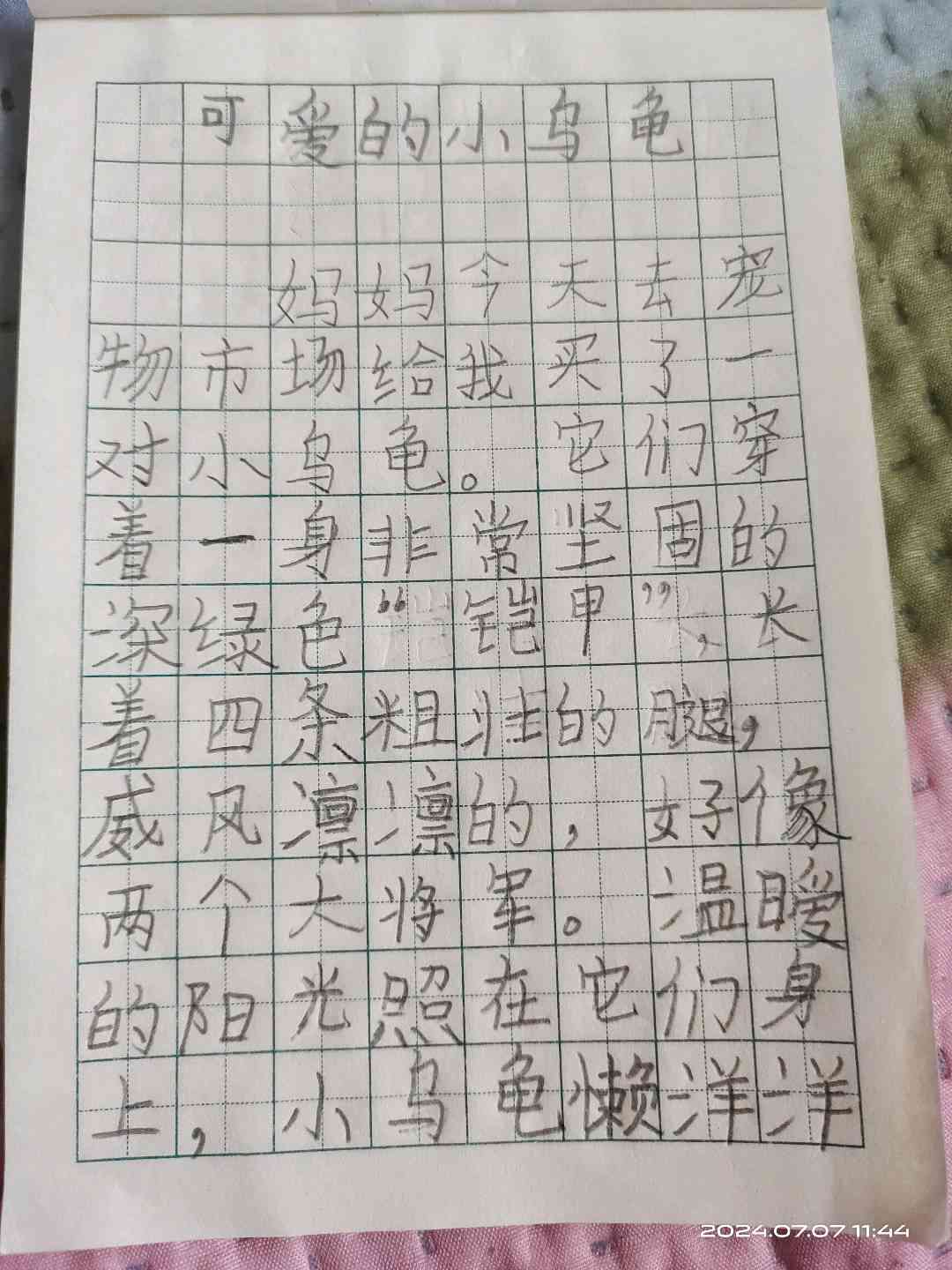 图像