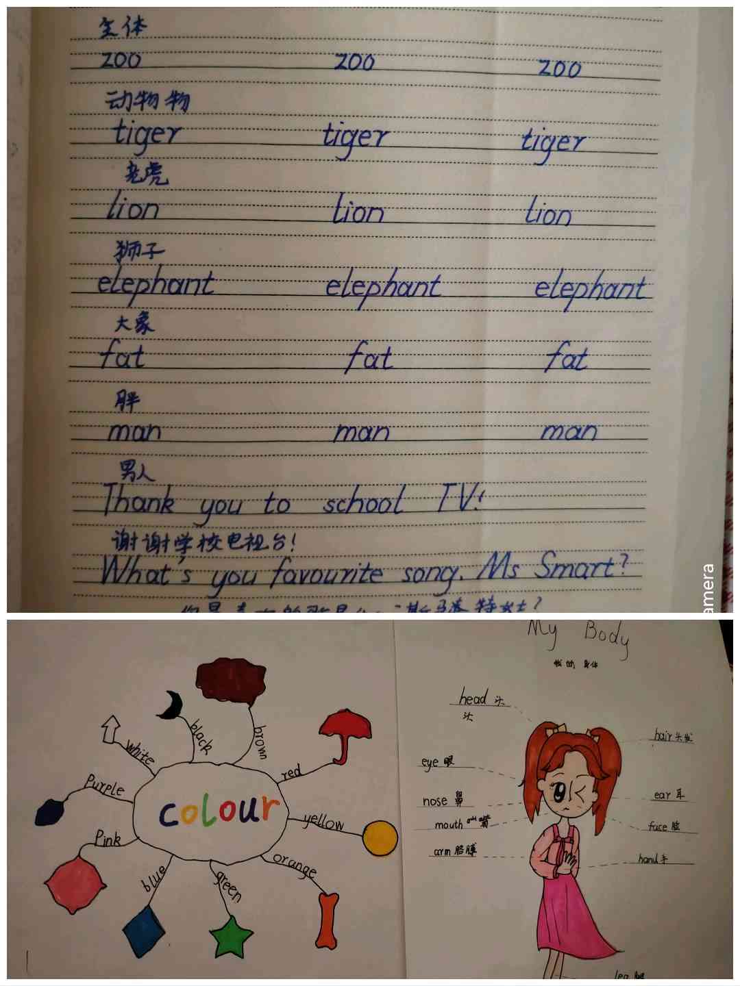 图像