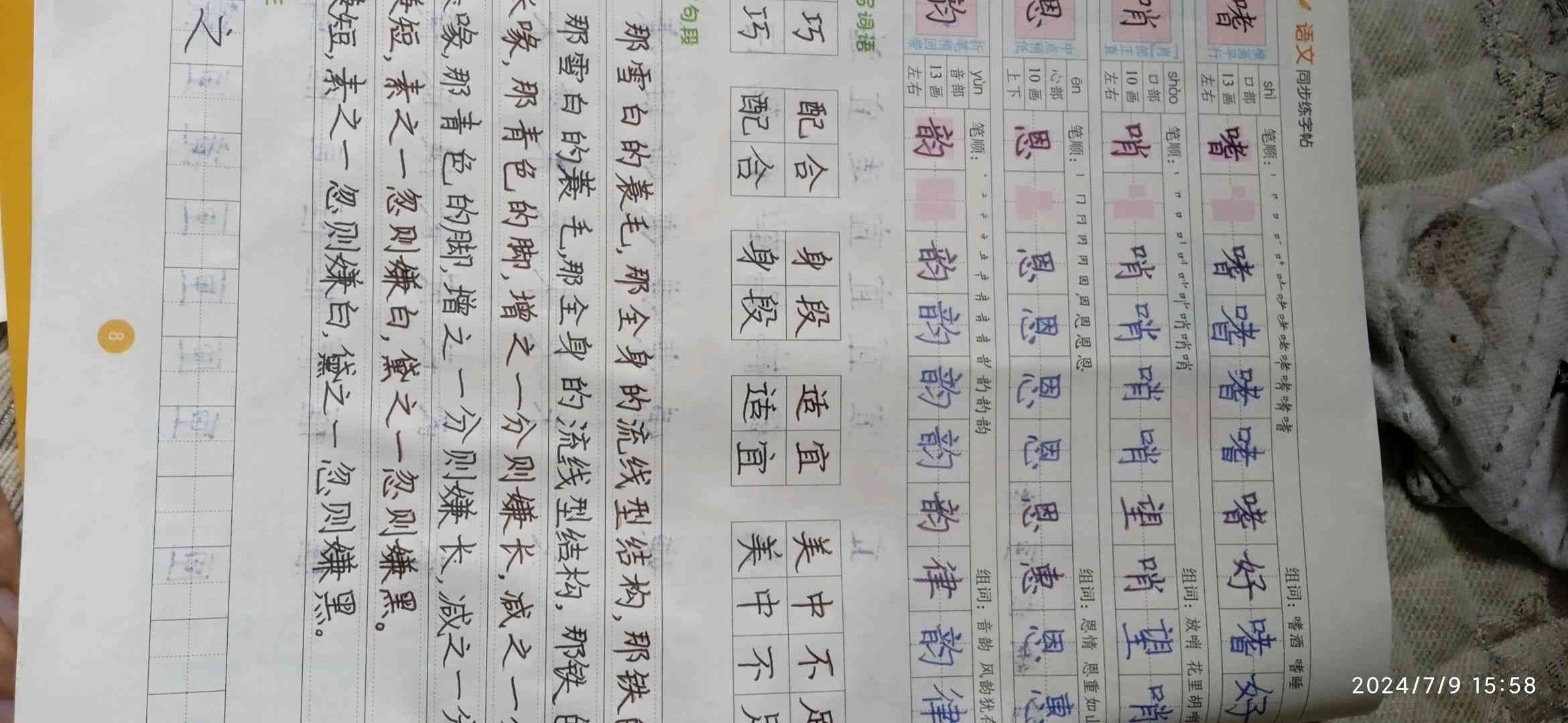 图像