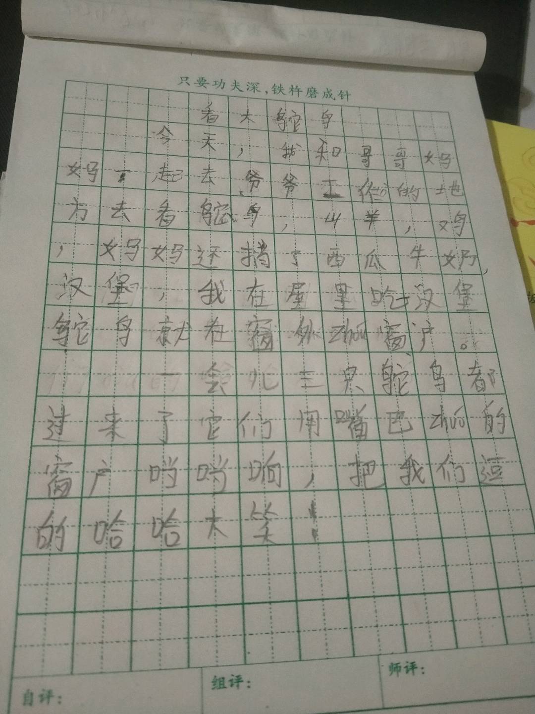 图像
